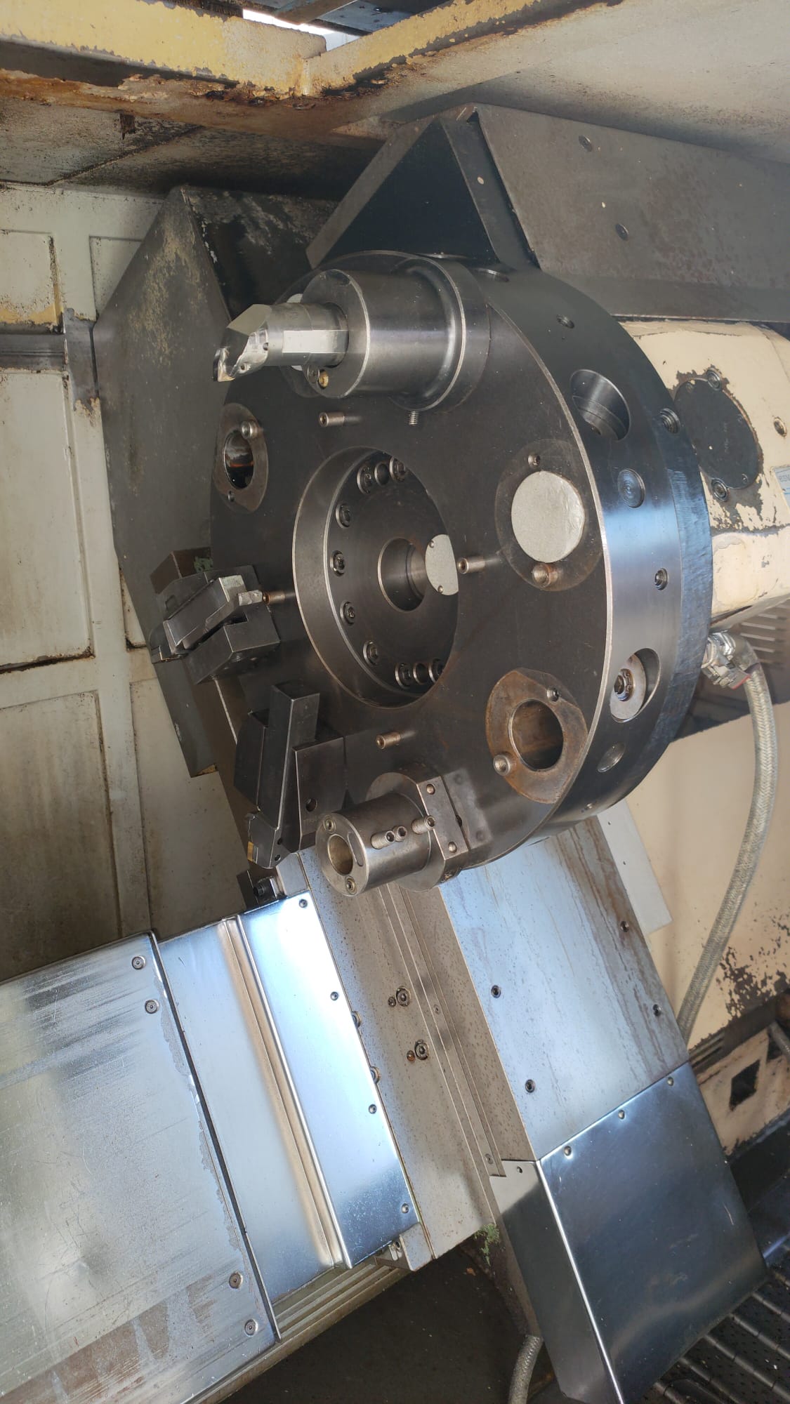 ANGELINI bravo  1993