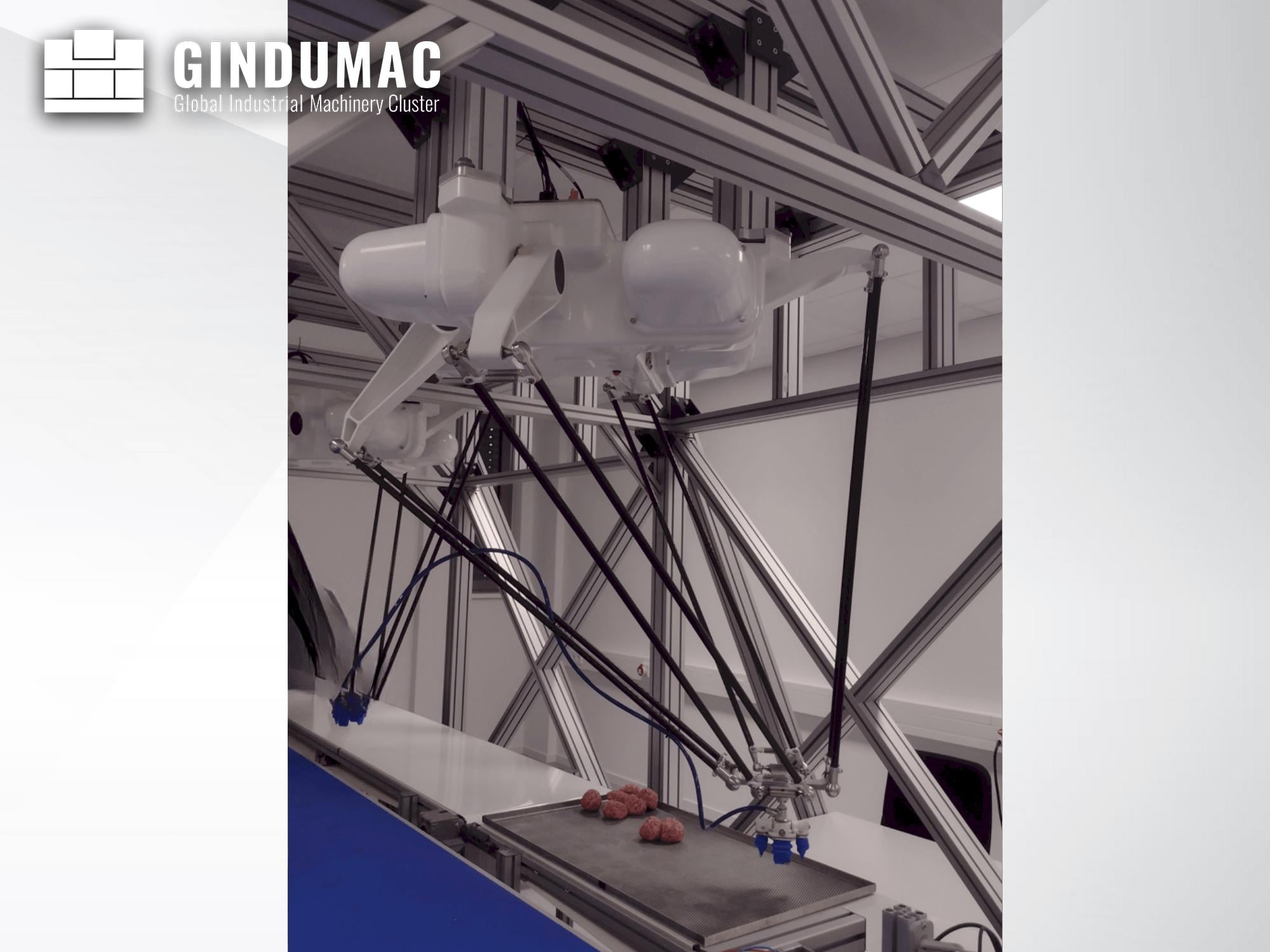 OMRON Quattro 800HS with Platform P30  2021
