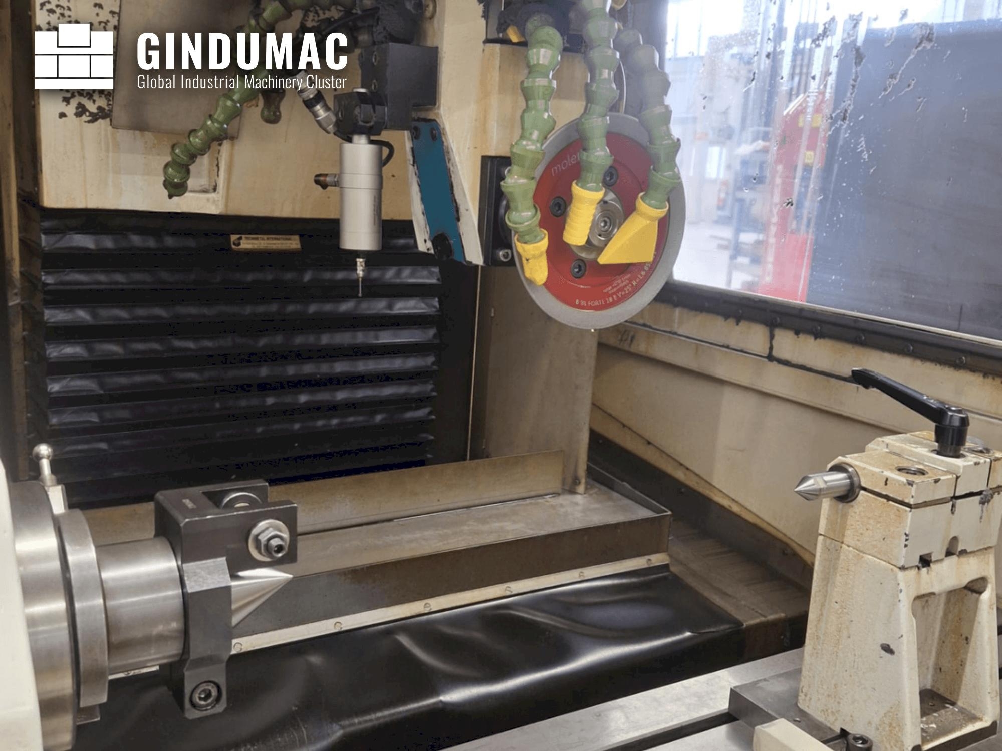 SCHNEEBERGER MRG Gemini  1999
